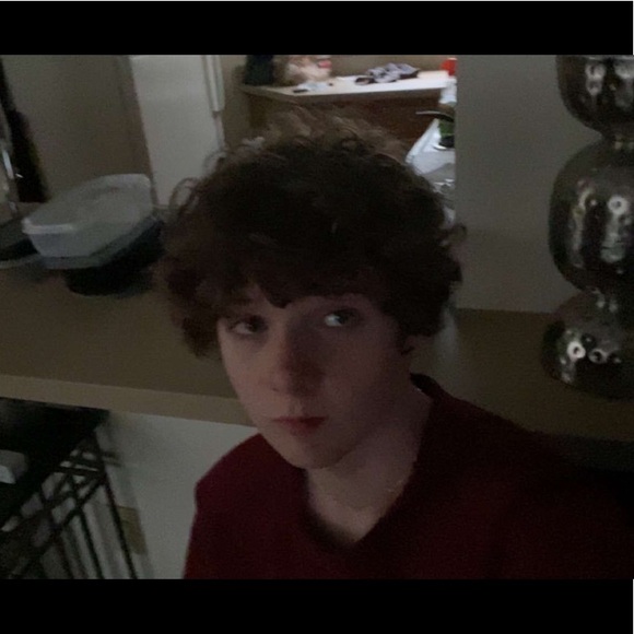 Meet your Posher, Gavin - Picture 1 of 1